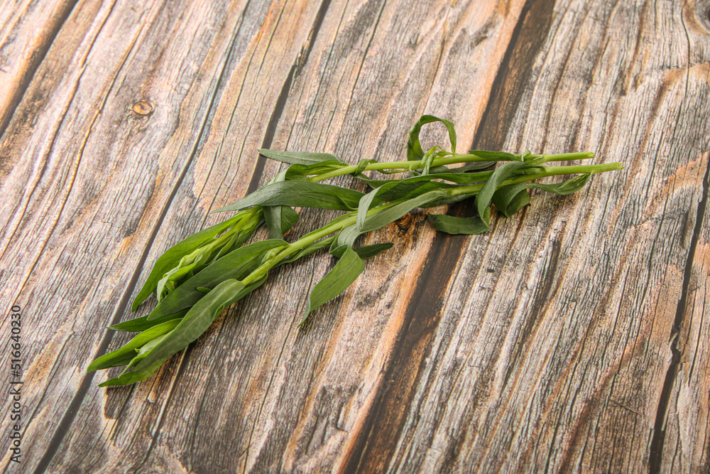 Green tarragon herb spice for cooking Green tarragon herb spice for cooking