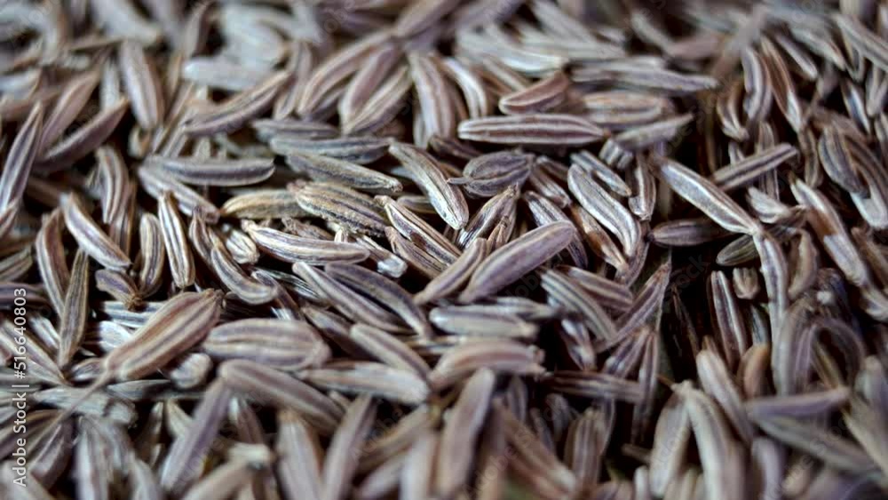 Close-up of cumin seeds. Cumin spices. Aromatic spices. Close-up of cumin seeds. Cumin spices. Aromatic spices.