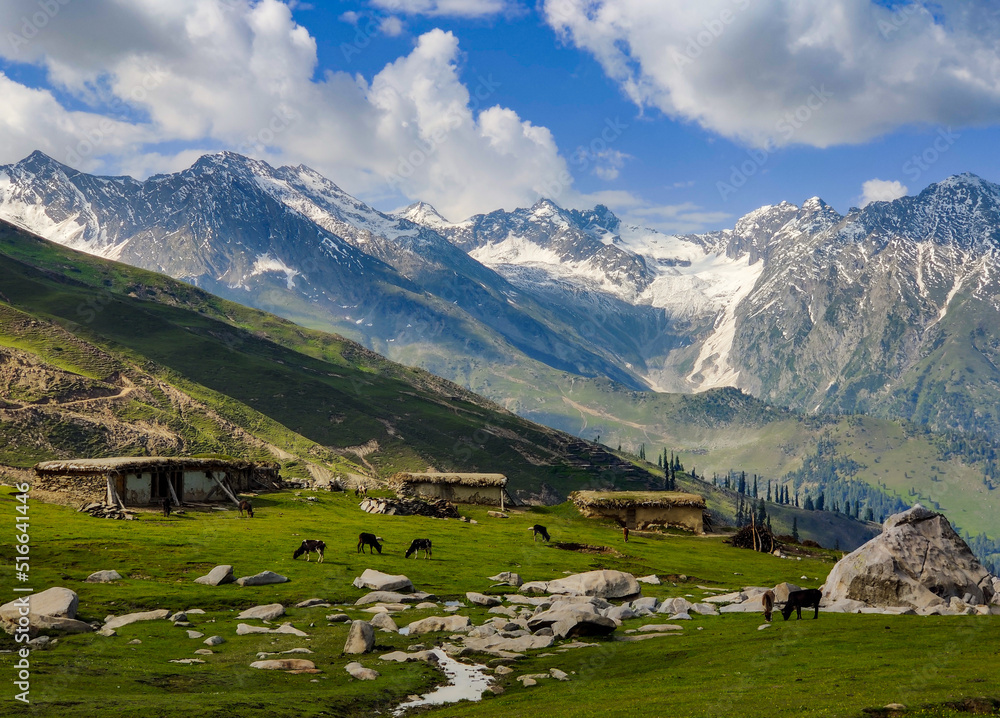 snowy Mountains with grass roof huts and animals greenery countryside tourism adventure pakistan