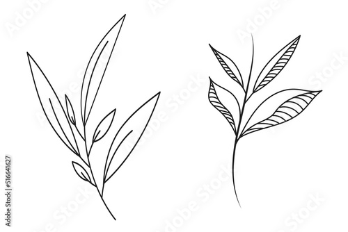 Set of abstract twigs with leaves isolated on a white background. Vector hand-drawn illustration in outline style.