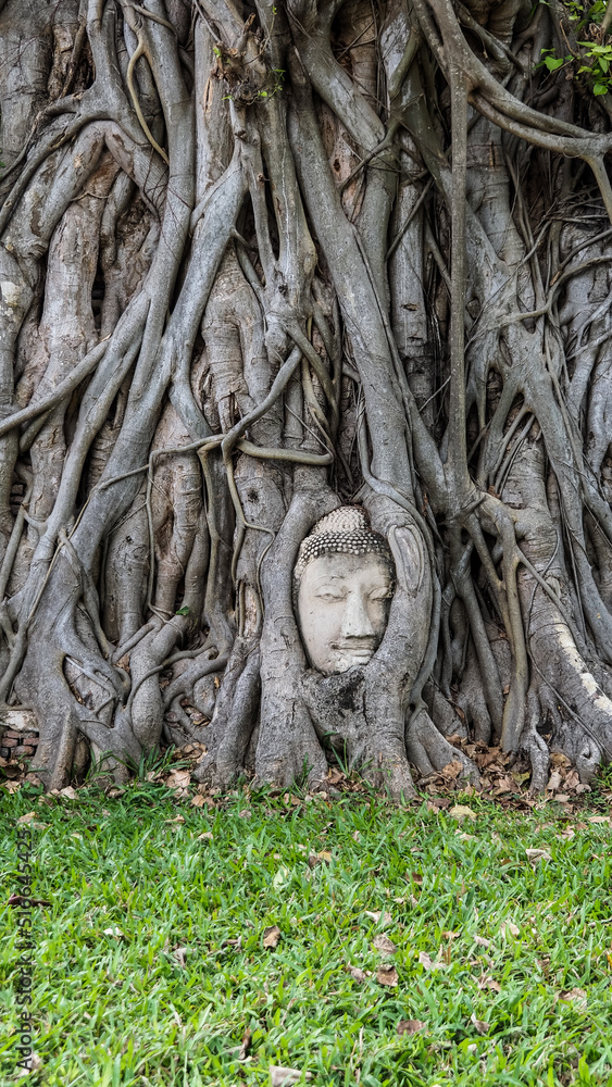 The historical city of Ayutthaya in Thailand The historical city of Ayutthaya in Thailand