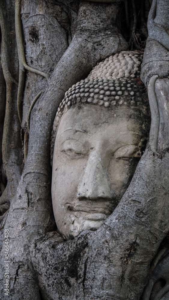 The historical city of Ayutthaya in Thailand The historical city of Ayutthaya in Thailand