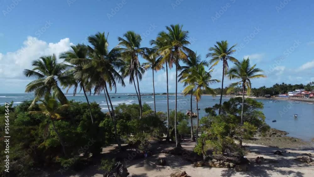 Drone top view of beautiful stretch of beach with mangrove vegetation and coconut trees - Morro de São Paulo, Bahia, Brazil Drone top view of beautiful stretch of beach with mangrove vegetation and coconut trees - Morro de São Paulo, Bahia, Brazil