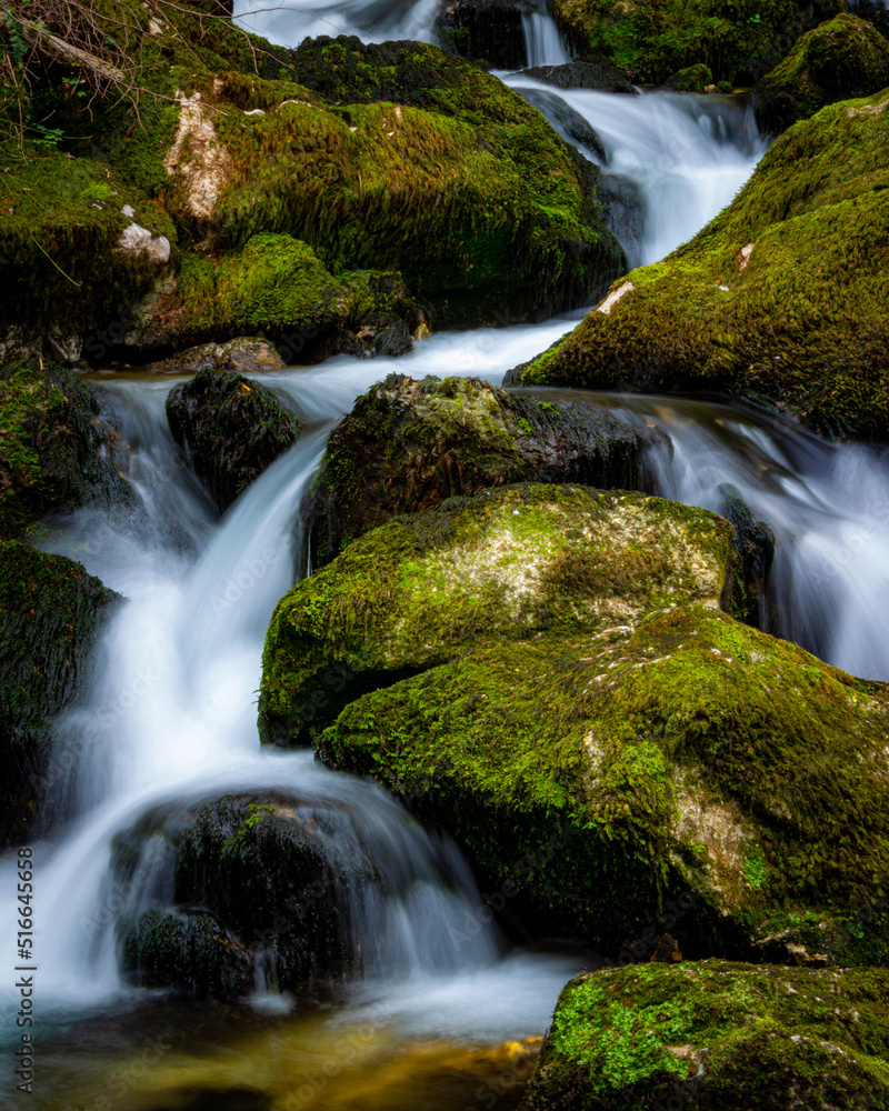 Fototapeta premium waterfall in the forest