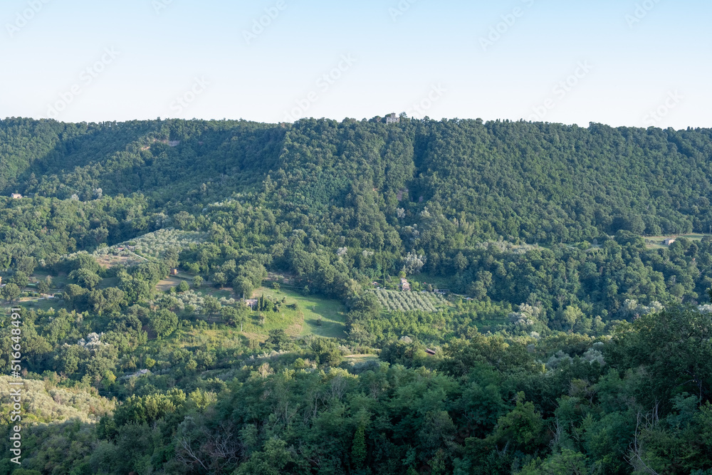 Exterior shot of beautiful mountain gorge with green forest with blue sky in background