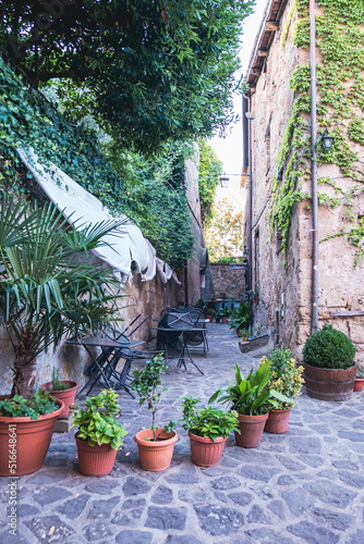 Plentiful  isolated flower pots in the courtyard in front of an ancient building wall