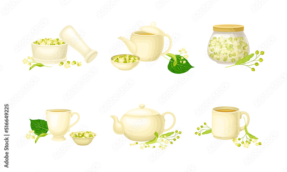 Small-leaved Linden or Tilia Cordata Herbal Tea Brewing in Teapot and Cup Vector Set Small-leaved Linden or Tilia Cordata Herbal Tea Brewing in Teapot and Cup Vector Set