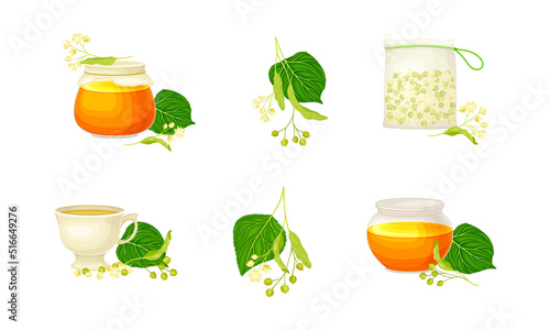 Small-leaved Linden or Tilia Cordata Blossom with Honey in Jar and Tea in Cup Vector Set