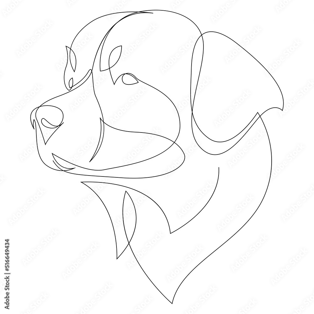 Continuous line Bernese Mountain Dog. Single line minimal style dog vector illustration. Portrait
