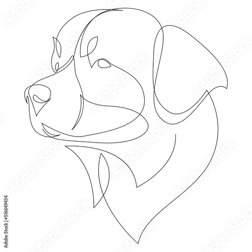 Continuous line Bernese Mountain Dog. Single line minimal style dog vector illustration. Portrait