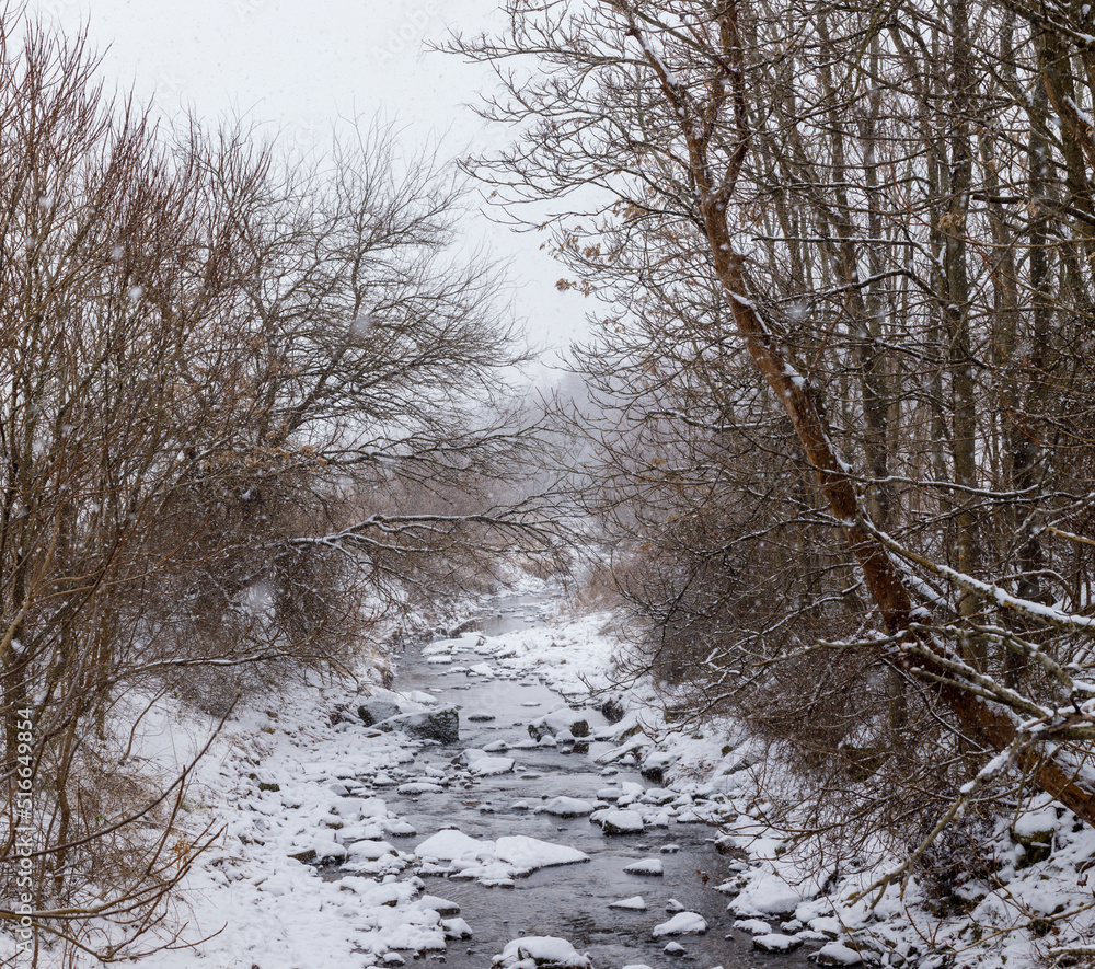 Rocky snow covered creek in the winter surrounded by bare trees Rocky snow covered creek in the winter surrounded by bare trees