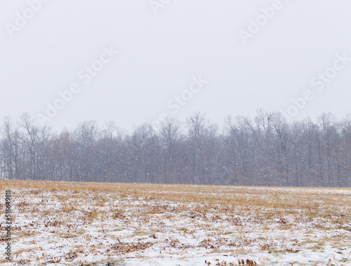 Snowy field in the blustery snow with trees in the background | Amish country, Ohio