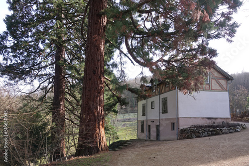 Russenhaus am Schloss Heiligenberg photo