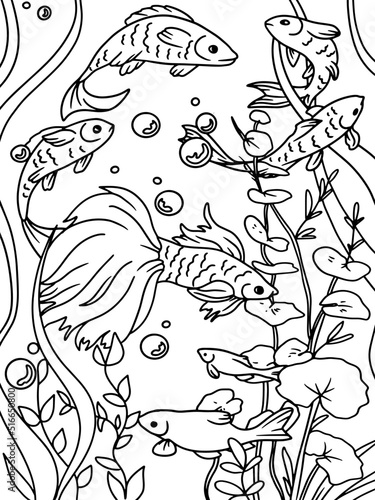 Coloring book  white background  black lines. Aquarium  seabed. Water world and fish.