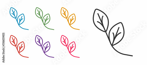 Set line Leaf icon isolated on white background. Leaves sign. Fresh natural product symbol. Set icons colorful. Vector
