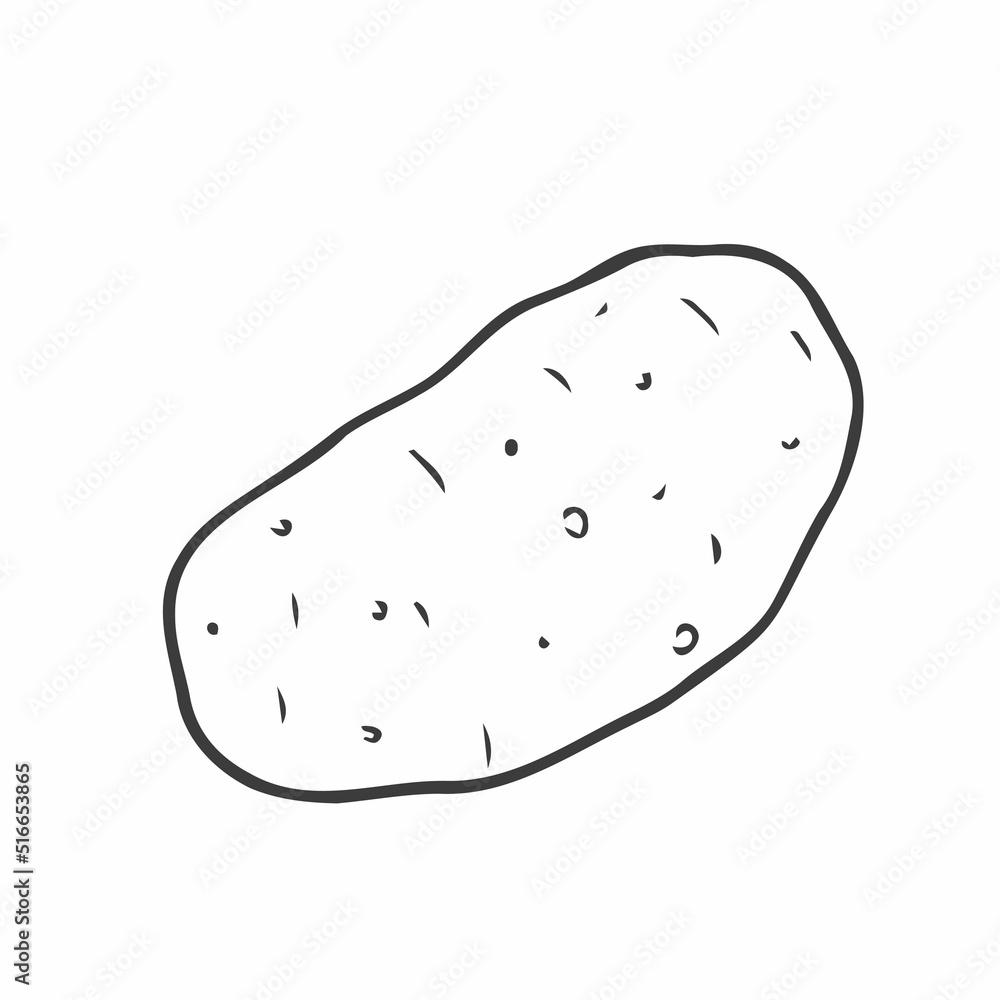 Potato tuber. Vector. Outline drawing of a vegetable on a white background. Sketch. Drawing marker on paper. Isolated object. Potato tuber. Vector. Outline drawing of a vegetable on a white background. Sketch. Drawing marker on paper. Isolated object.