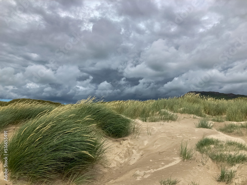 Fotografie Sand dunes and grass during strong gusty wind.