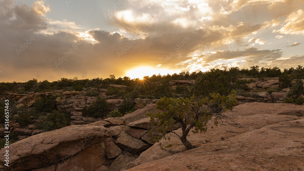 Fototapeta premium The setting sun sends a burst of light across the landscape and makes the clouds glow golden just before it dips below the pinyon and juniper trees growing in this rugged rocky southwest desert scene.