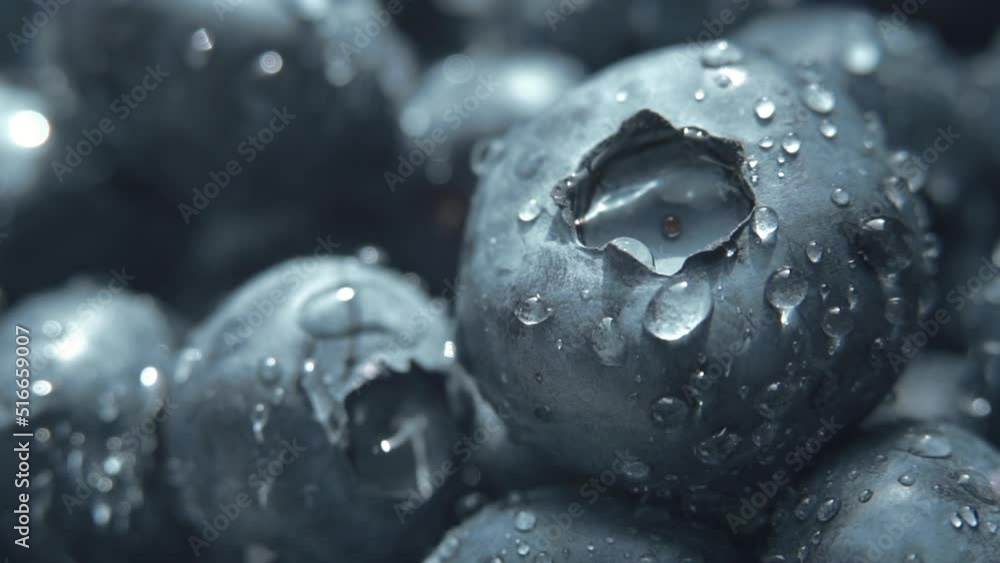 Closeup of fresh blueberry. Macro Closeup of fresh blueberry. Macro