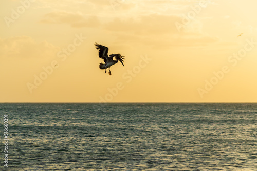 Palomino is one of the five corregimientos of the municipality of Dibulla, in La Guajira, Colombia photo