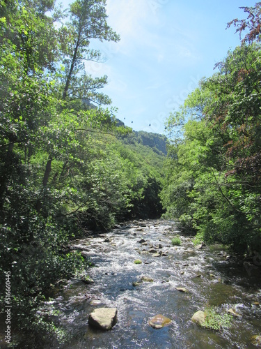 Cuadro en lienzo Thale an der Bode