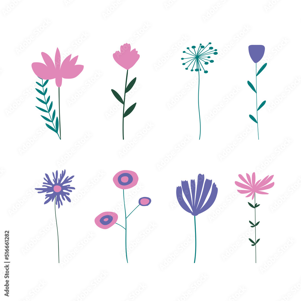 Set of vector flowers and plants. Botanical design elements. 
