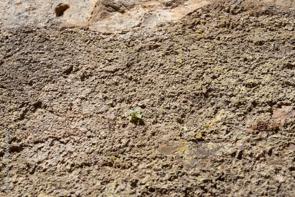 The old non-flat concrete wall as a background