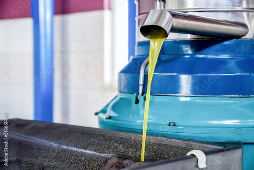 Olive oil pours from tap of spin machine. Production process of extra virgin olive oil at factory. Close-up