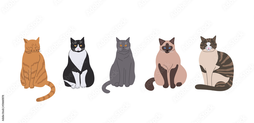 Obraz premium Cartoon set of cats with different poses and emotions. Cat behavior, body language and facial expressions. Cats in a simple cute style, isolated vector illustration.