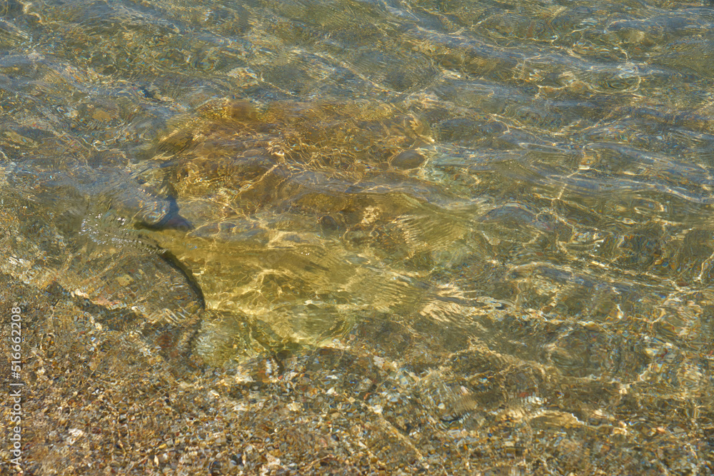 Blurred waves of clear seawater as a background