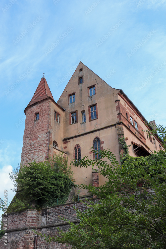 Alsace - Bas-Rhin  - Saverne - Chateau d'Oberhof - Ancien palais épiscopal du 12 e siècle