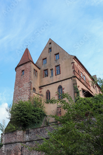 Alsace - Bas-Rhin - Saverne - Chateau d'Oberhof - Ancien palais épiscopal du 12 e siècle