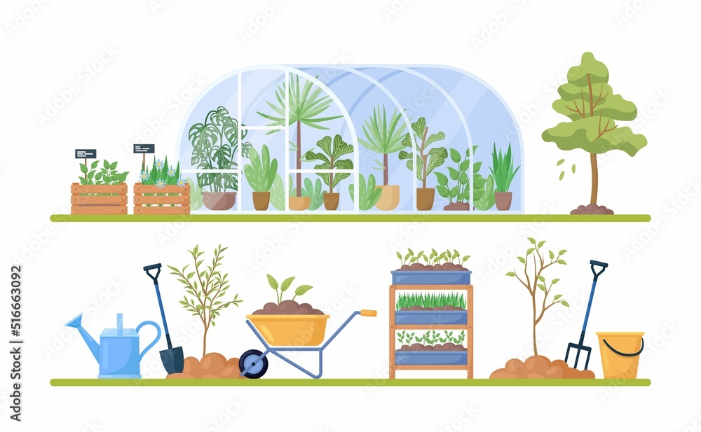 Obraz premium Glass green house with garden equipment or plants collection, wooden boxes with herbs, wheelbarrow, watering pot, shovel. Plants growing in pots inside glass greenhouse. Hothouse eco farm agriculture