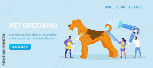 Woman and man caring of pet, cutting and brushing fur, washing. Professional barber grooming dog. Pet haircut, groomer salon