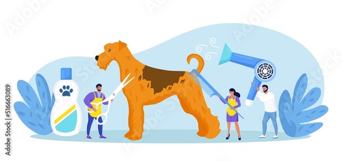 People caring of domestic animals or pets, blow drying, cutting fur, washing. Pet haircut, grooming. Cute dog at groomer salon
