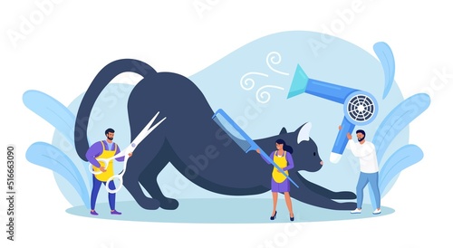 People caring of domestic animals or pets, blow drying, cutting fur, washing. Pet haircut, grooming. Cute cat at groomer salon