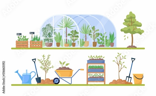 Glass green house with garden equipment or plants collection, wooden boxes with herbs, wheelbarrow, watering pot, shovel. Plants growing in pots inside glass greenhouse. Hothouse eco farm agriculture