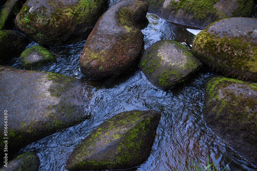 a mountain river with huge stones with green moss.wild forest of taiga. a mountain river with huge stones with green moss.wild forest of taiga.