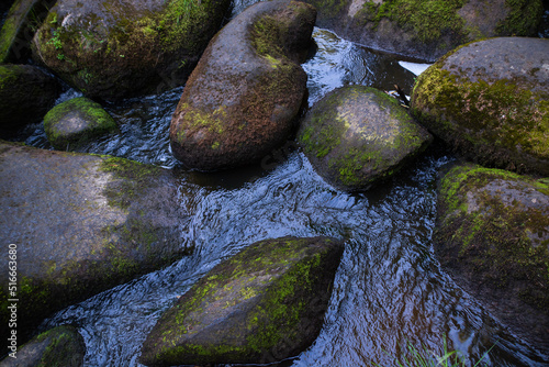 a mountain river with huge stones with green moss.wild forest of taiga.