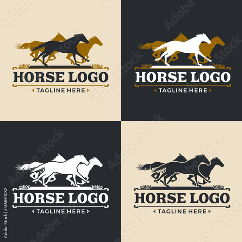 A horse logo with western design elements and a silhouette of a horse.