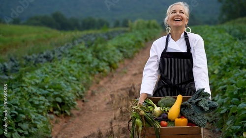 Photography Laughing, pretty, caucasian, female chef carrying fresh picked vegetables walking towards camera on a farm for farm to table at sunrise sunset