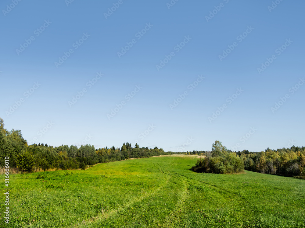 Natural summer background with green grass field and clear blue sky. Countryside landscape.