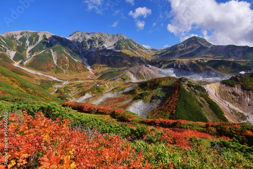 Autumn colors in Tateyama alpine , Toyama