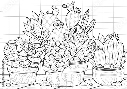 Cactus Coloring For Adults: Mind Relaxing And Calming