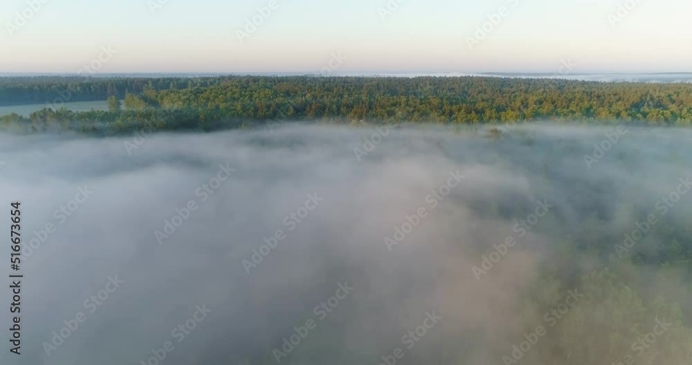 Aerial view of sunrise over misty morning forest flight. Summer forest early in the morning. Forest wood fog nauture wild mist aerial. Aerial view of sunrise over misty morning forest flight. Summer forest early in the morning. Forest wood fog nauture wild mist aerial.