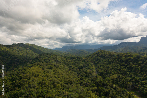 Mountains with green forest and mountain valley in Sri Lanka.