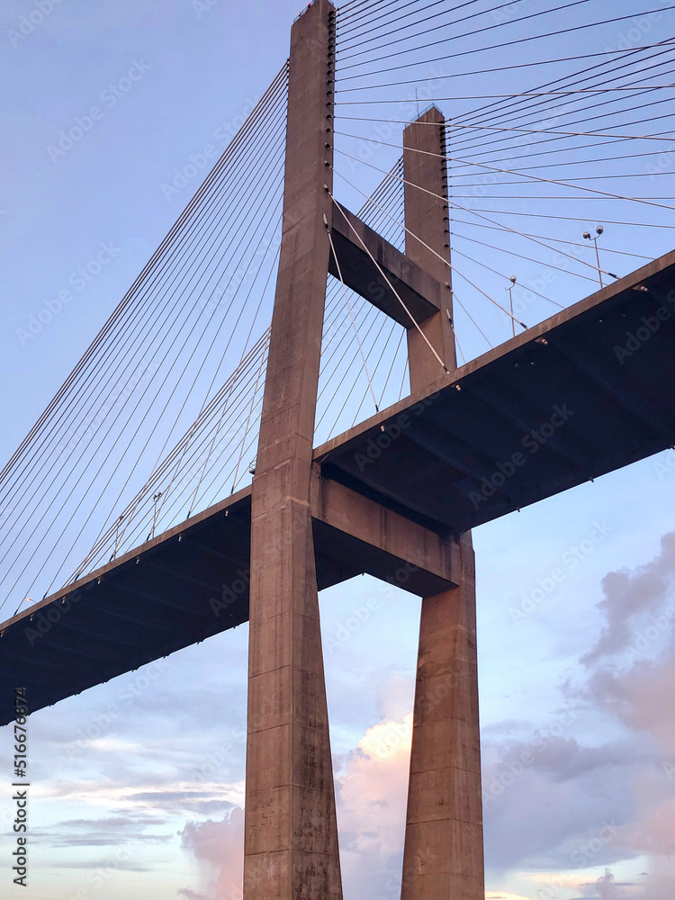 Obraz premium Savanna Georgia bridge