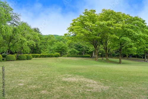 青空バックに見る新緑に包まれた芝生公園の情景＠石川