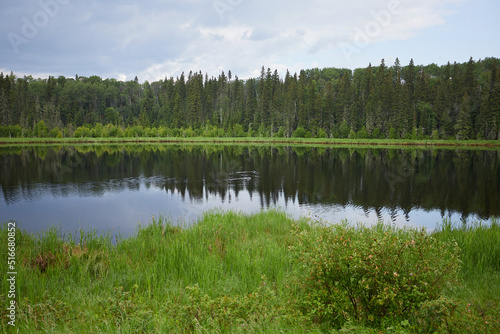 Lake in Prince Alber national park