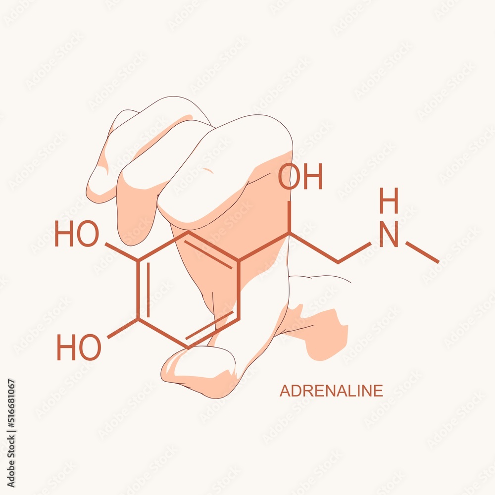 Hand holding chemical molecular formula of hormone adrenaline. Hand holding chemical molecular formula of hormone adrenaline.